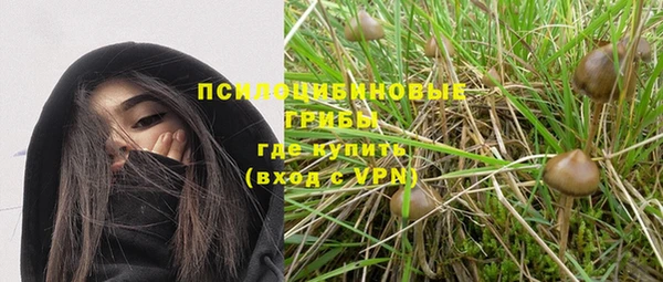 apvp Абаза
