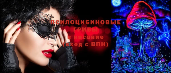 apvp Абаза