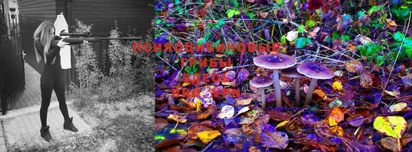 MDMA Абинск