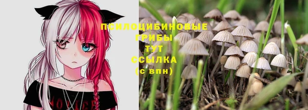 apvp Абаза