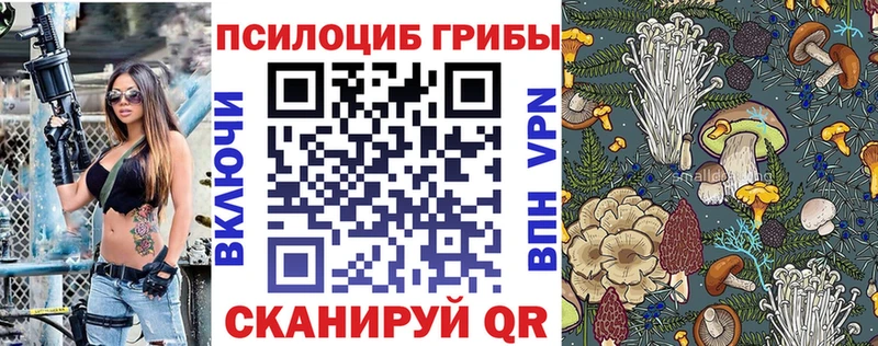 Псилоцибиновые грибы Cubensis  Братск 