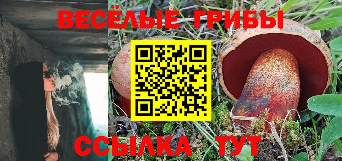 Псилоцибиновые грибы Psilocybine cubensis Братск